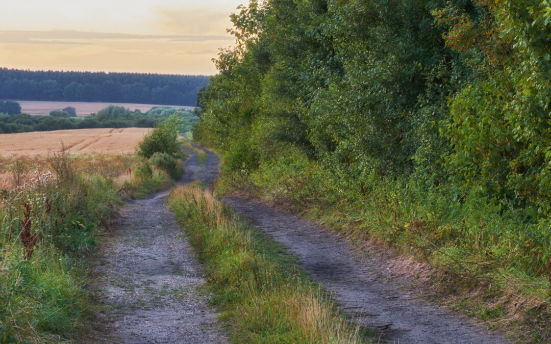 Skal naturen lægge ryg til alt?