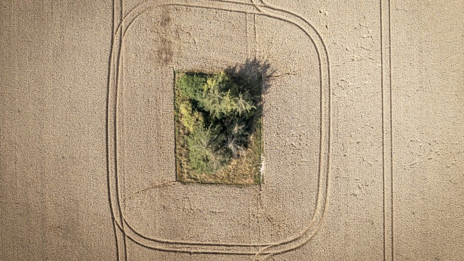 Biodiversitet: I Danmark tror vi, vi er klimaforbilleder. Det er vi slet, slet ikke