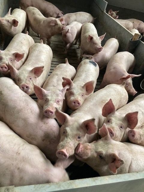 Kulturændring efterlyses